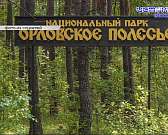 Можно ли в Орле купить местную гречку и кетчуп? Подробности ЧП с упавшим на автомобиль деревом. Итоги голосования по пешеходной зоне в районе площади ...