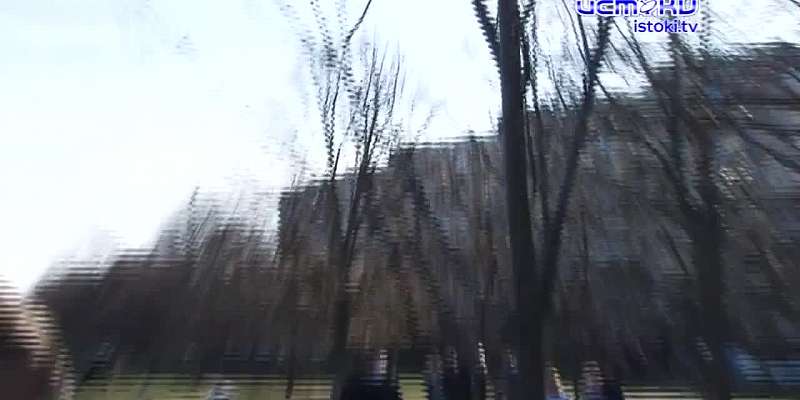 По одному дереву на каждого погибшего: в Орле высадили 50 символов жизни