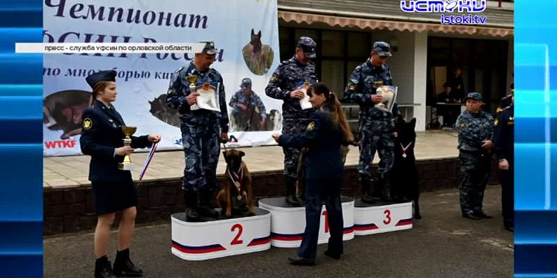 В Орловской области как будто нарочно уничтожают сельскую медицину, памятники Орла приводят в порядок, а мы выбрали победителя конкурса «Народный корр...