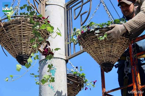 В Орле на мостах развесили кашпо
