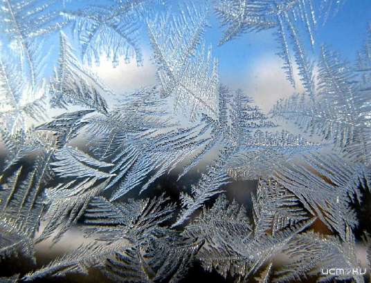 Зима-холода. В Орле родители просят продлить зимние каникулы школьникам