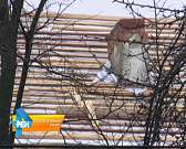 На этот раз до увольнения не дошло. После выговора от Клычкова Андрей Усиков нашел пропавшего подрядчика