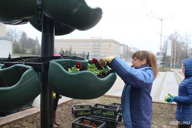 В Орле «Зеленстрой» приступил к высадке цветов в клумбы