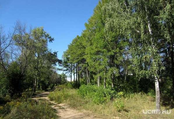 Орловский ветеран просит губернатора привести в порядок парк Победы