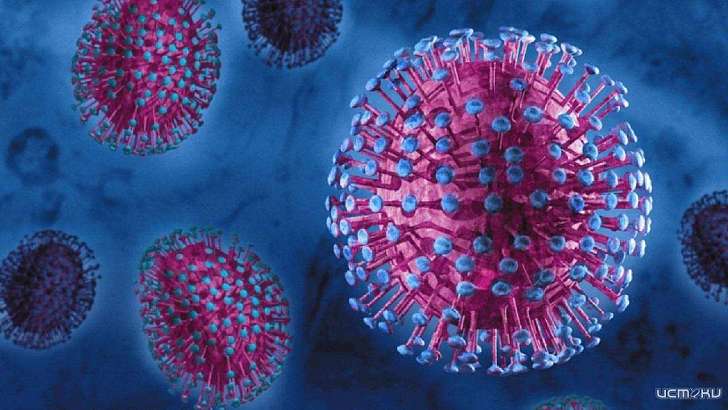 35-й среди 100 городов: эксперты оценили, насколько в Орле боятся коронавируса