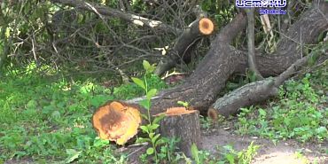 Экспресс-новости: Сергея Лежнева оставили в СИЗО до 24 декабря, активист Юрий Малютин написал открытое обращение к прокурору области