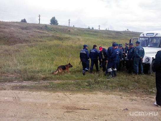 Грибника, пропавшего два дня назад, продолжают искать