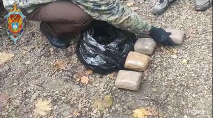 В Орле осужден участник преступной группы за незаконный сбыт наркотиков 