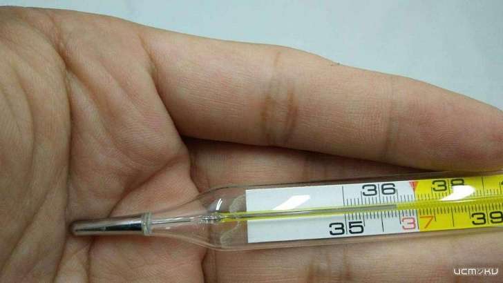 Во время пандемии на Орловщине отмечен рекордный рост цен на градусники