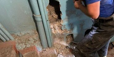 МЧС по Орловской области животные Мценские спасатели вызволили из бетонного плена кошку с котенком