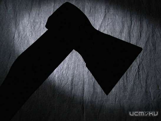 44-летняя жительница Орловской области обиделась и чуть не зарубила топором своего сожителя 