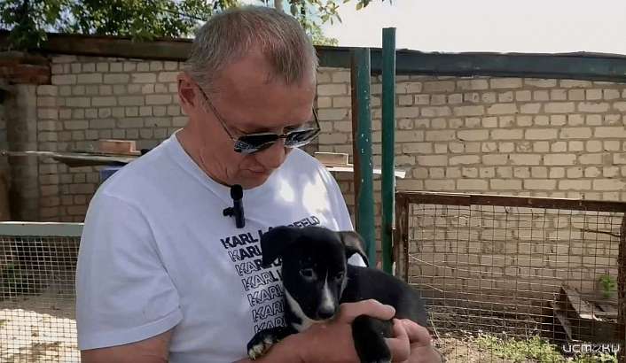 В Орле депутат приютил щенка из Бахмута