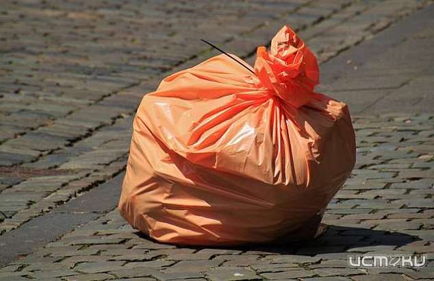 Клычков: Причиной мусорного коллапса стали личные интересы