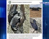 Экспресс - новости. Стройка Западного обхода