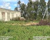 В Болховском районе смерч сорвал крыши домов и сломал деревья. Видео