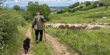 Орловского предпринимателя наказали за работника-иностранца без патента