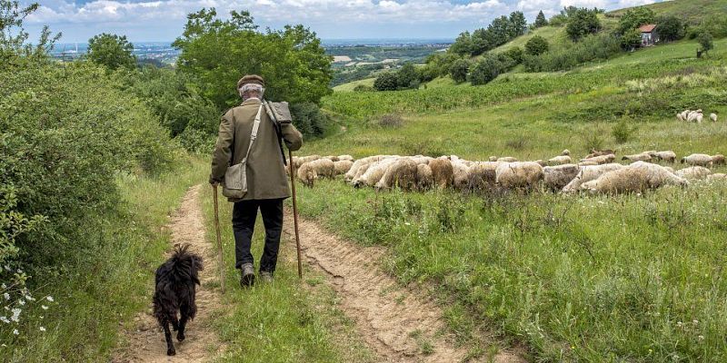 Орловского предпринимателя наказали за работника-иностранца без патента