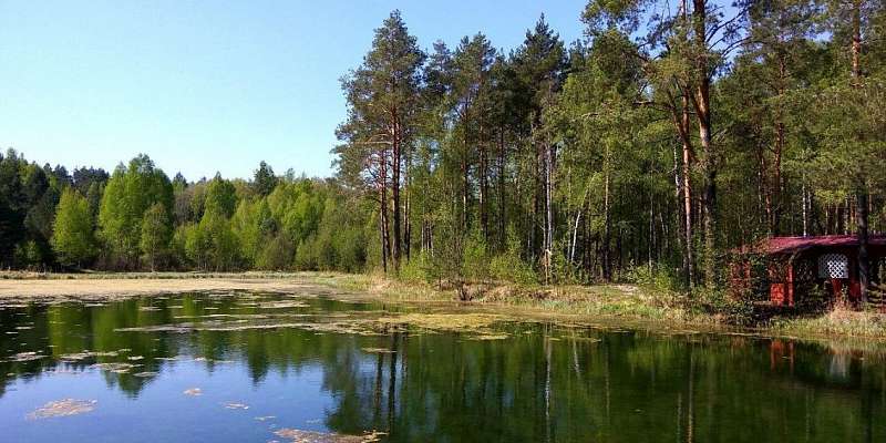 В «Орловском полесье» планируется создать центр экологического туризма
