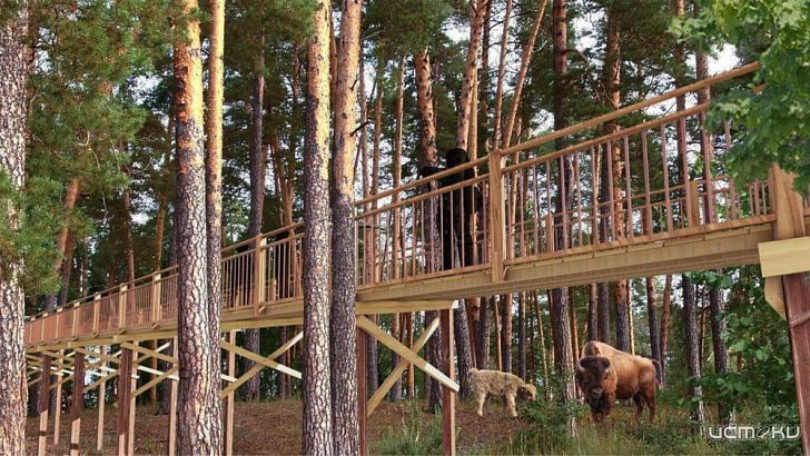 Голосуем за орловские достопримечательности!  Голосуем за орловские достопримечательности!