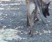 Новости за 90 секунд: городской парк может стать подобием парка Горького в Москве, полицейские задержали преступную группу, а в область завезли первую...