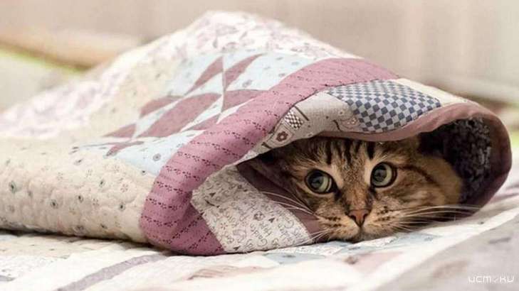 На Орловщине ожидается ухудшение погодных условий