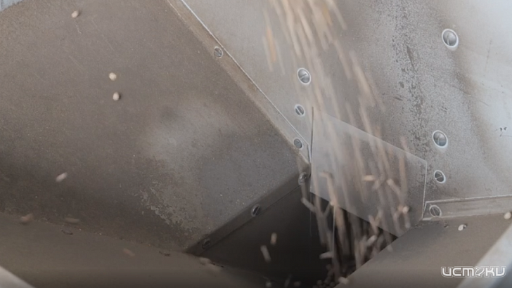 Почему важно проверять посадочный материал на сортовые и посевные качества