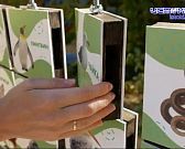 Эко.детки. Любовь к природе с самых малых лет!