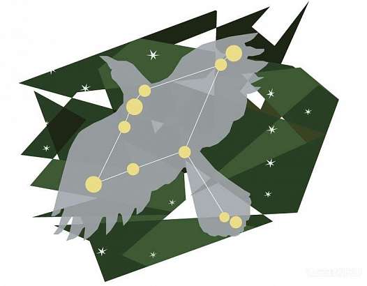 Знаменскую школу-интернат переименуют в «Созвездие Орла» 