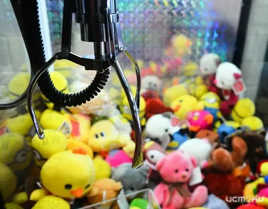 В Орле росгвардейцы задержали хулигана, разбившего автомат с игрушками