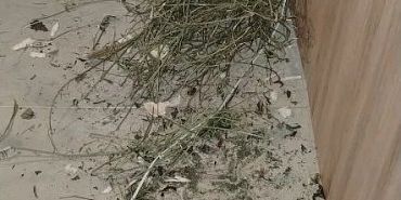 В Ливенском районе задержали подозреваемого в незаконном сбыте и хранении запрещенного к обороту вещества