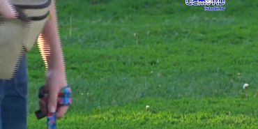 Лучшие друзья человека приняли участие в чемпионате и первенстве Орловской области по кинологическому спорту!