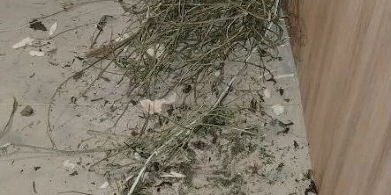 В Ливенском районе задержали подозреваемого в незаконном сбыте и хранении запрещенного к обороту вещества