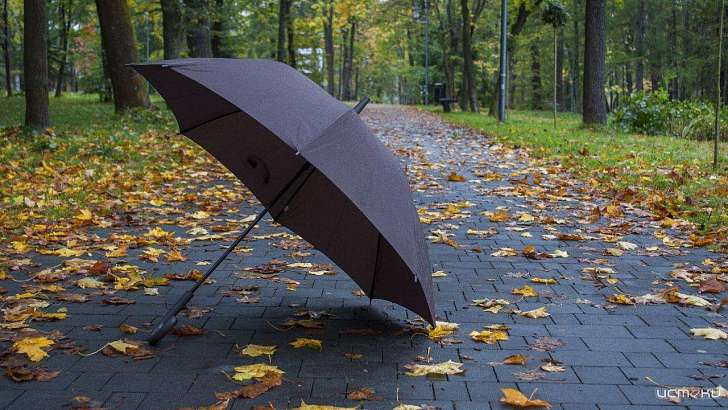 Сегодня орловчанам пригодится зонт: погода на 9 сентября 