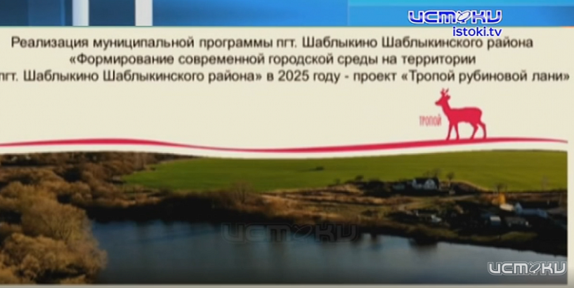 УФАС внесло орловскую компанию «Триумф» в реестр недобросовестных поставщиков сроком на два года