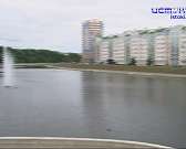 Скамейки и урны смотрят в разные стороны, дорожки превратились непонятно во что