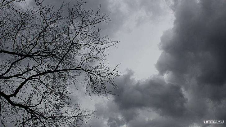 Вторник будет хмурым и дождливым 