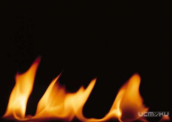 Накануне огонь уничтожил дачный домик под Орлом