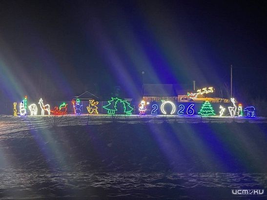 В Орловской области нашли самый новогодний дом 