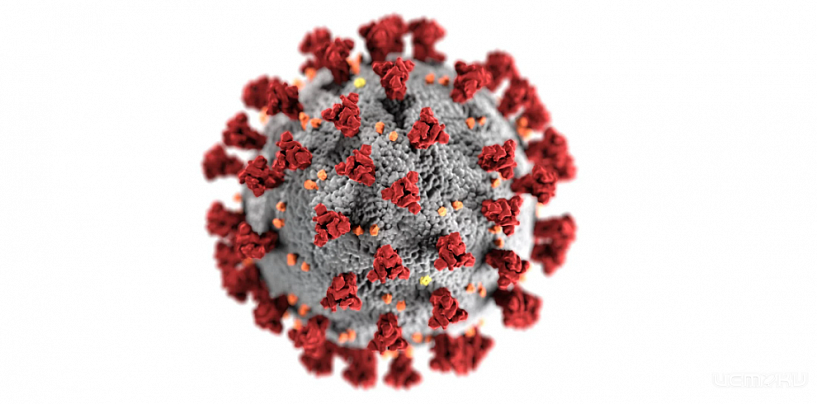В Орловской области 204 человека заболели коронавирусом