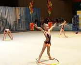 В Орле завершился турнир по художественной гимнастике "Amadeus Cup"