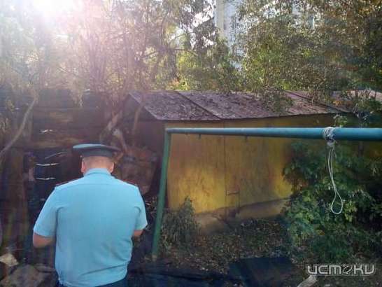В Орле при пожаре во дворе пострадали авто и балконы жилого дома В Орле при пожаре во дворе пострадали авто и балконы жилого дома