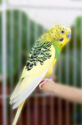 В Орловских компаниях появились релакс-менеджеры