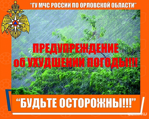 Шквалистый ветер, дожди и град: На Орловщине ухудшится погода