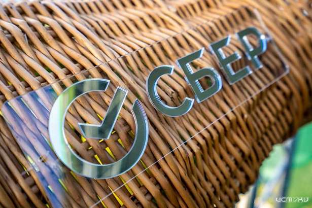 С начала года жители Черноземья совершили более 350 тысяч транзакций по всем сервисам SberPay