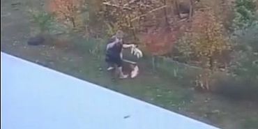 В Зареченском заявили о жестоком обращении с собакой: жители обеспокоены поведением соседа