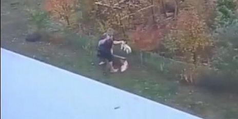 В Зареченском заявили о жестоком обращении с собакой: жители обеспокоены поведением соседа