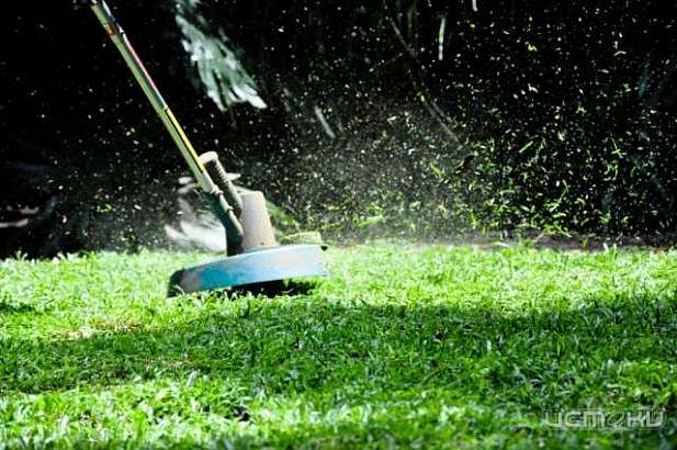 Житель Ливенского района угрожал сотрудникам полиции триммером