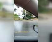 Загадочная Фрида Кало: орловчане могут узнать секреты величайшей мексиканской художницы1562421072