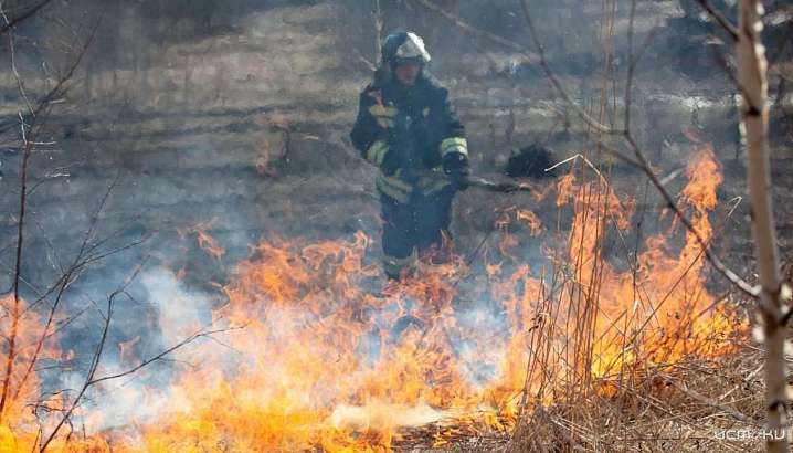 Штрафы для орловчан, спровоцировавших пожары, увеличились в 10 раз
