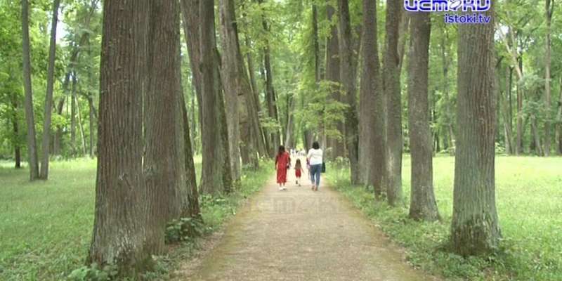 Режим самоизоляции пошел на пользу: как обновился музей-заповедник «Спасское-Лутовиново»